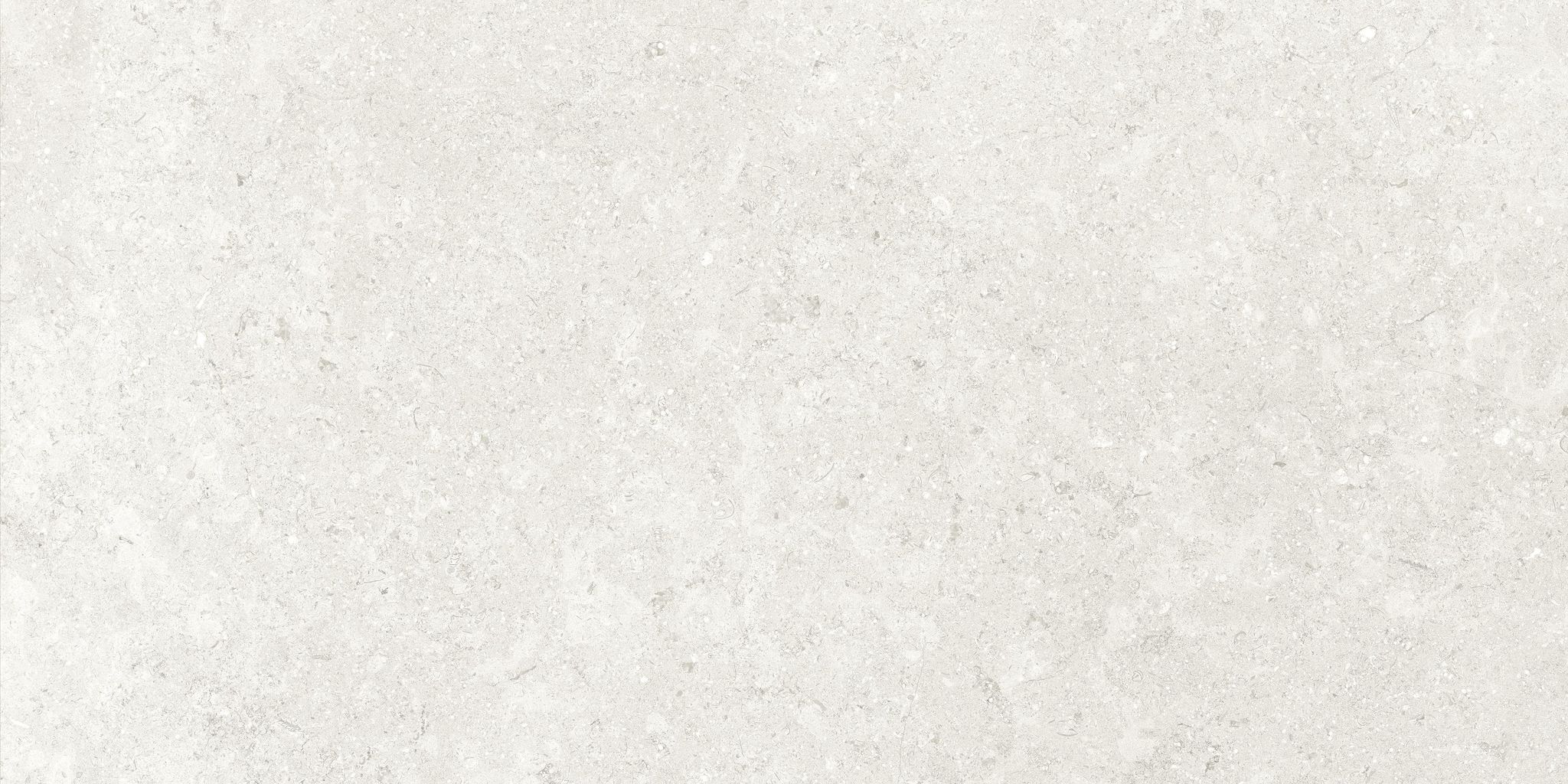 Denver 12X24F Pearl Matte | La Raj Tile & Marble