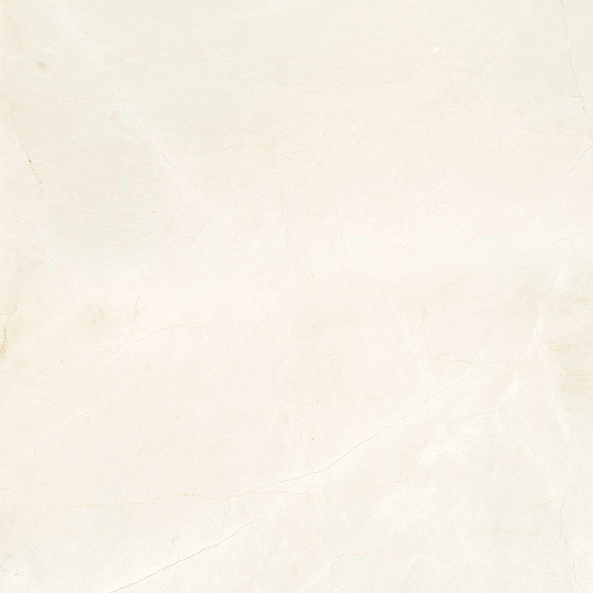 Avorio Crema 24x24 | La Raj Tile & Marble