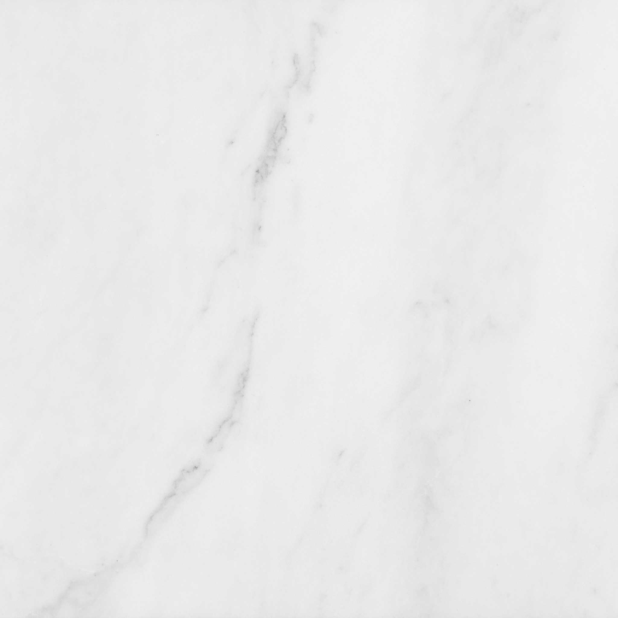 Bianco Venatino 12x12 Honed | La Raj Tile & Marble