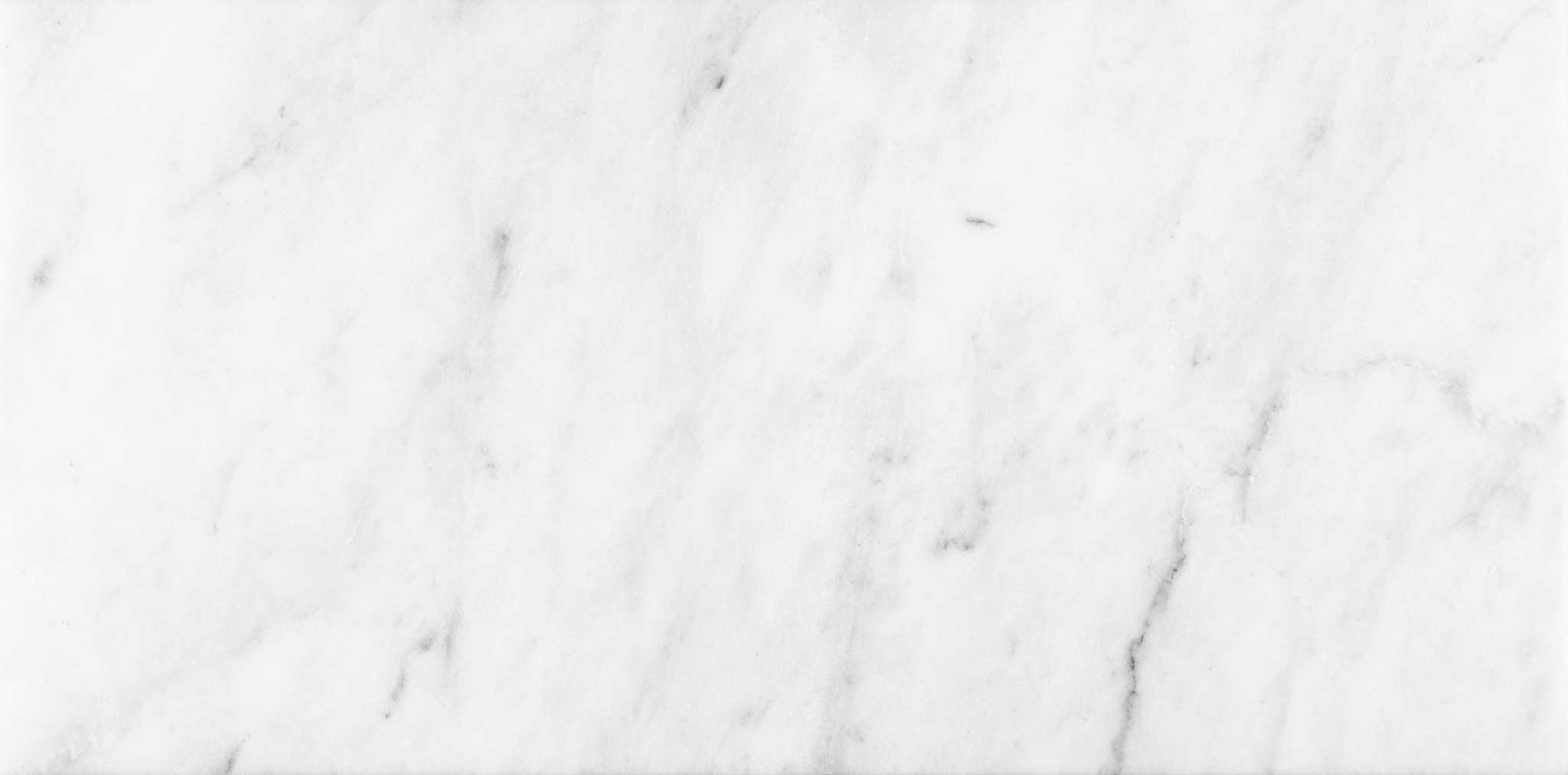 Bianco Venatino 12x24 Honed | La Raj Tile & Marble