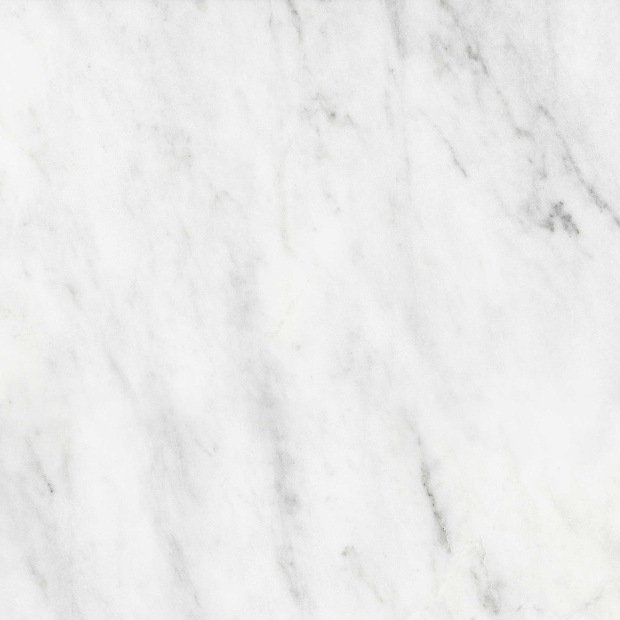 Bianco Venatino 18x18 Honed | La Raj Tile & Marble