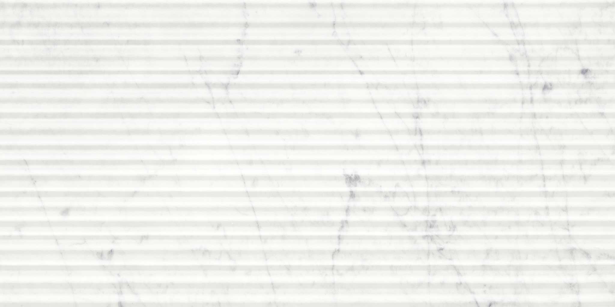 Eterna Bianco 12x24 Honed Curva | La Raj Tile & Marble