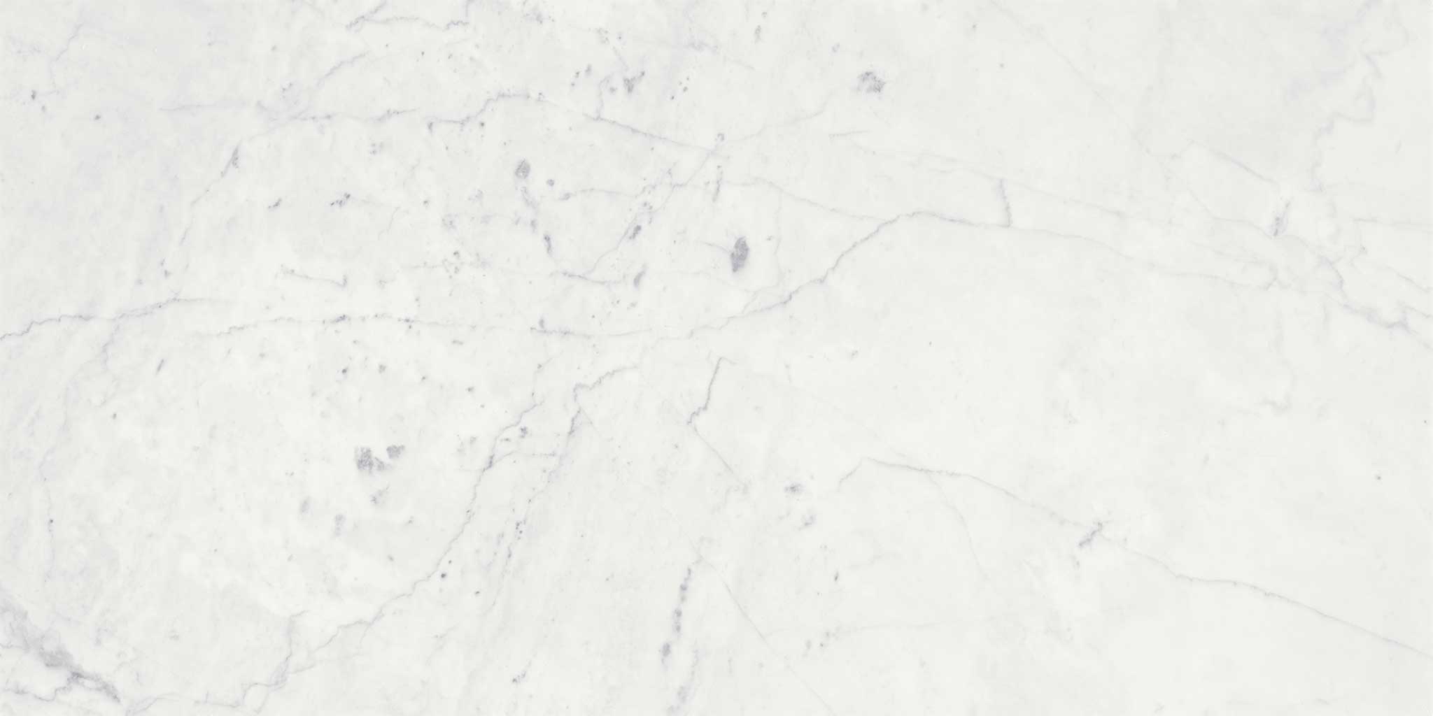 Eterna Bianco 18x36 Honed | La Raj Tile & Marble