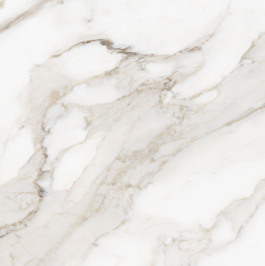 Royal Stoneworks 24X24 Calacatta Royale Honed | La Raj Tile & Marble