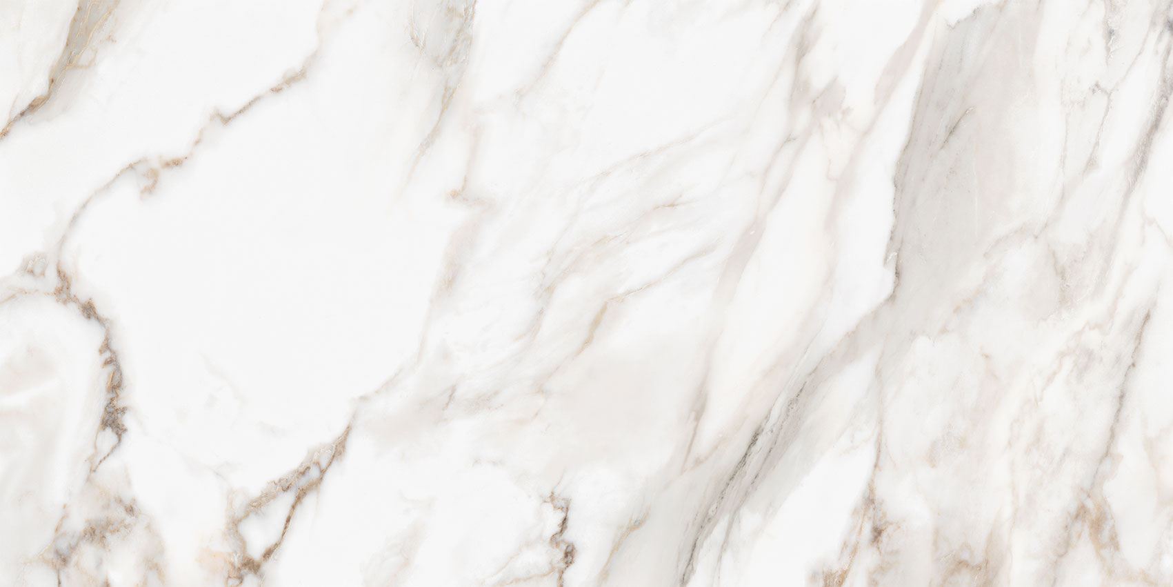 Royal Stoneworks 24X48 Calacatta Royale Polished | La Raj Tile & Marble