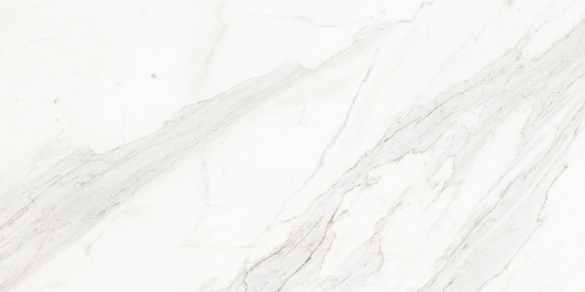 Royal Stoneworks 24X48 Crown Calacatta Honed | La Raj Tile & Marble