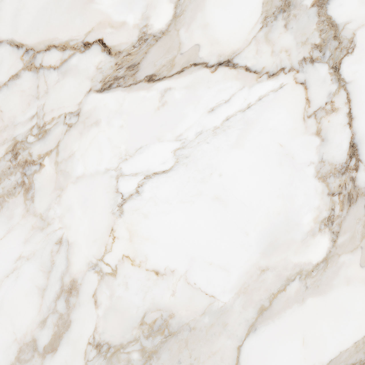 Royal Stoneworks 36X36 Calacatta Royale Polished | La Raj Tile & Marble
