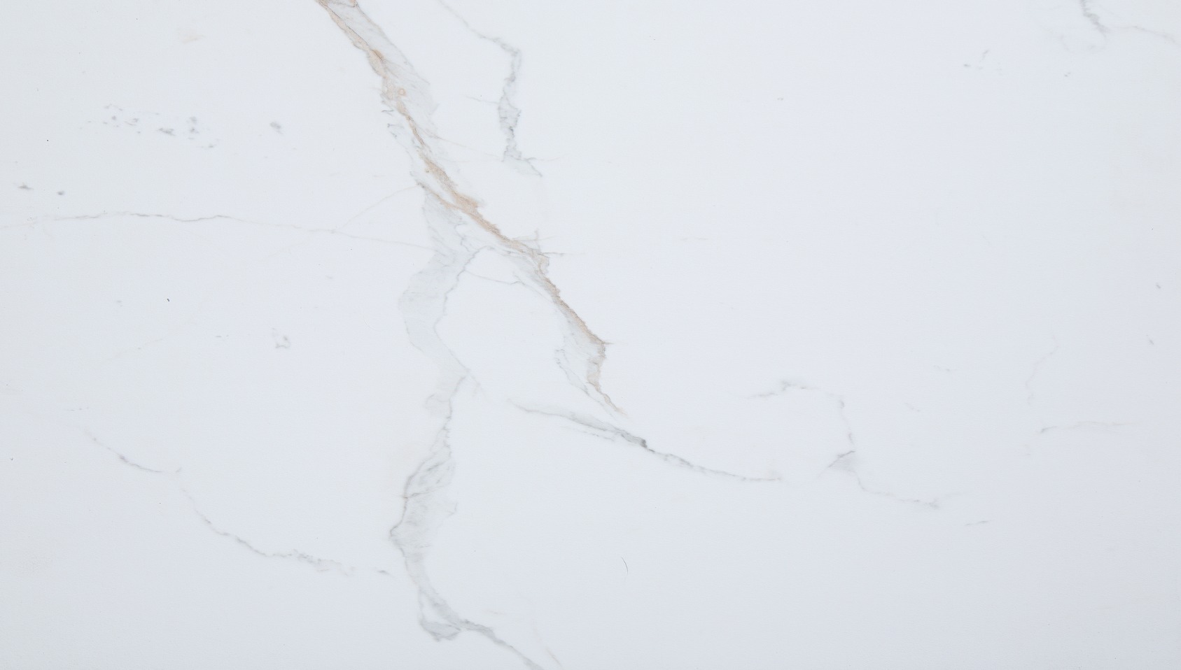 Carrara Marble Wall Tile 25x15 | La Raj Tile & Marble
