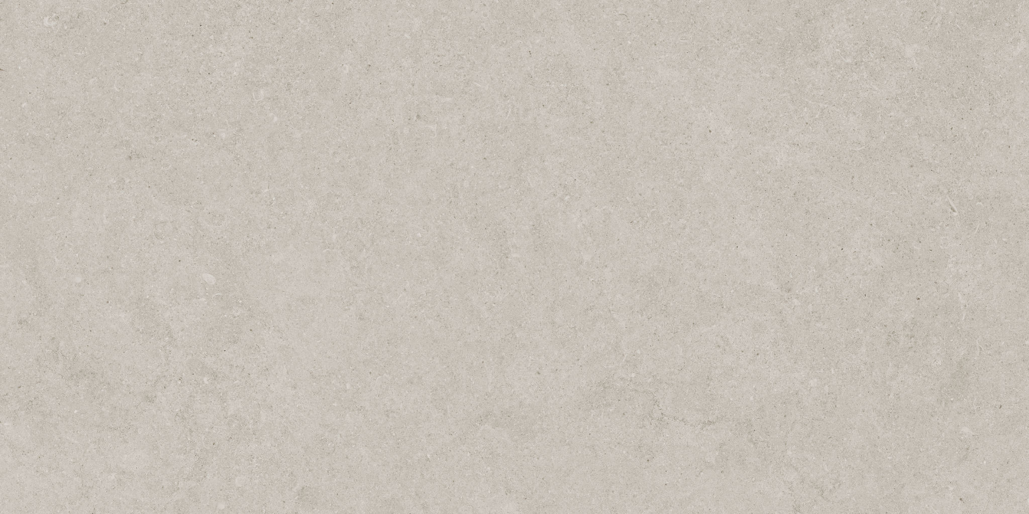 Lithoform 12X24 Crosscut Coast | La Raj Tile & Marble