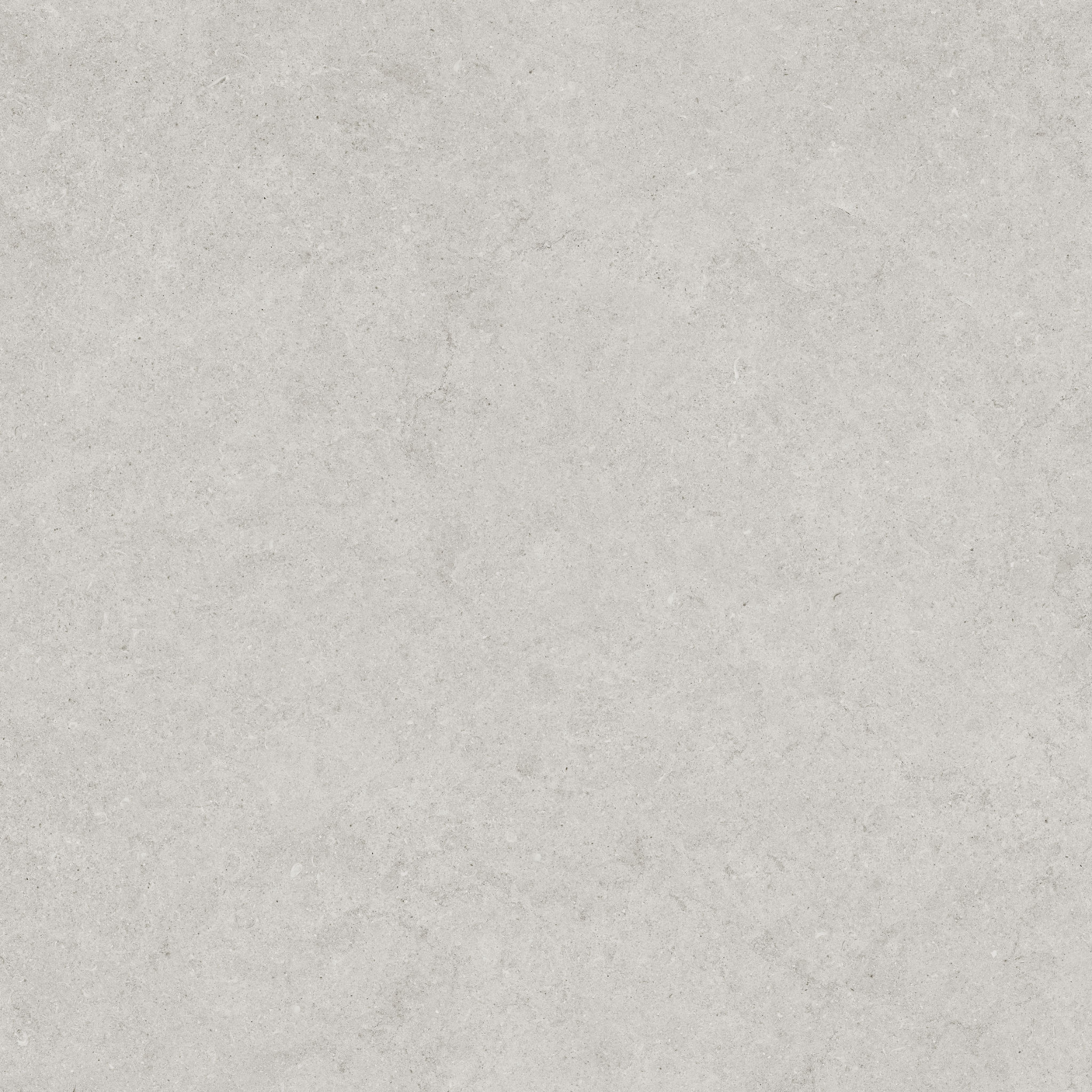 Lithoform 24X24 Crosscut Vista | La Raj Tile & Marble