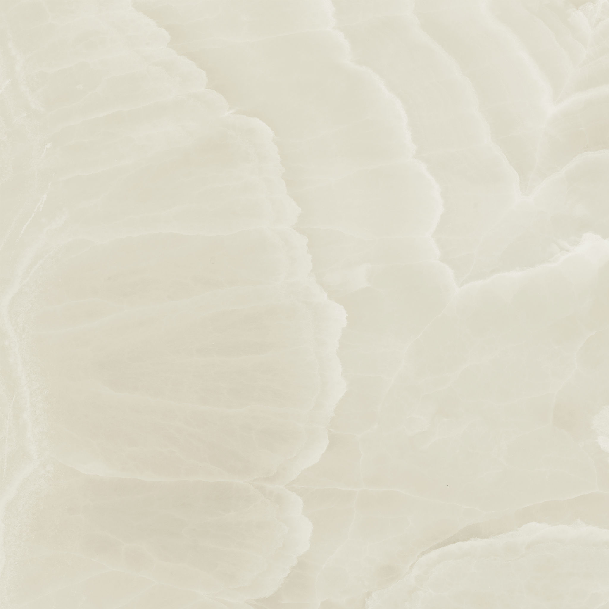 Lustra 36x36 Onyx Crema Honed | La Raj Tile & Marble