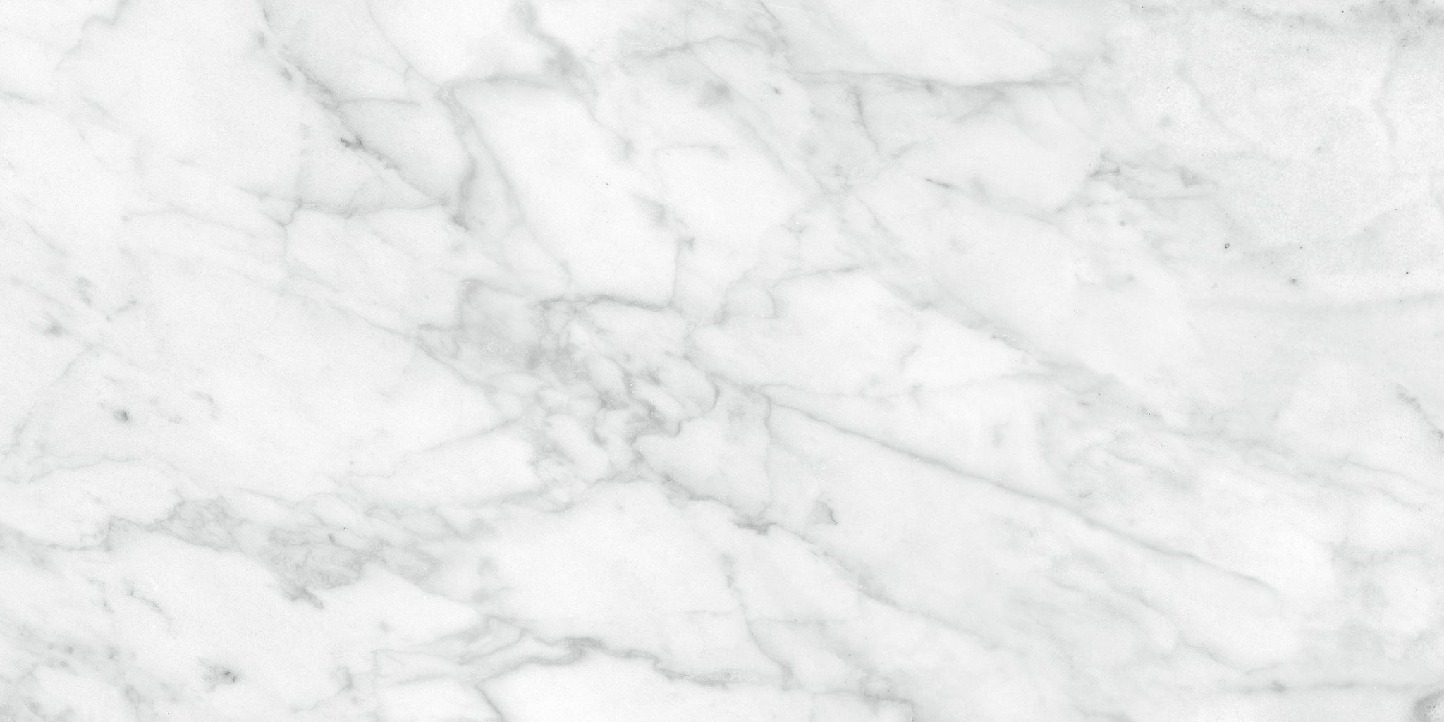 Plata 12x24 Carrara Abisso Matte | La Raj Tile & Marble