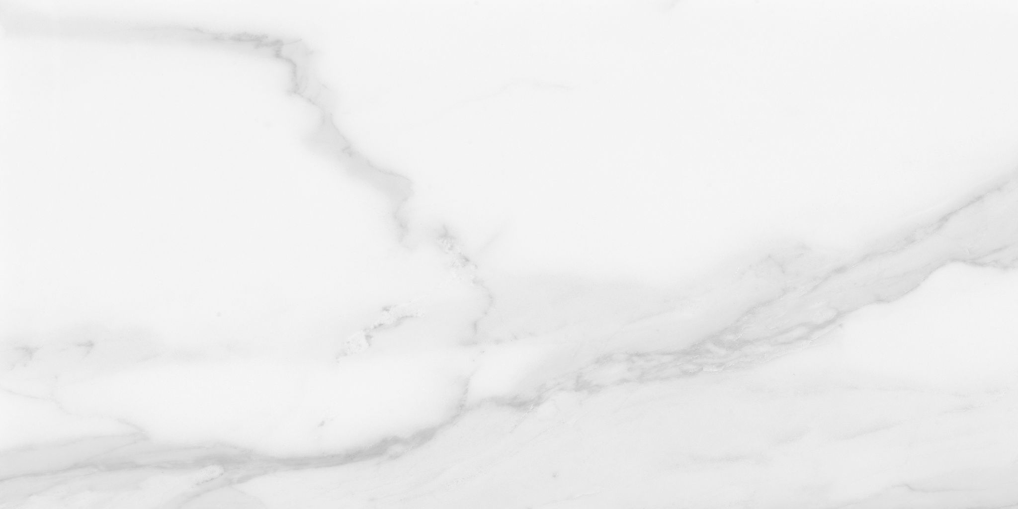 Plata 12x24 Statuario Brina Matte | La Raj Tile & Marble