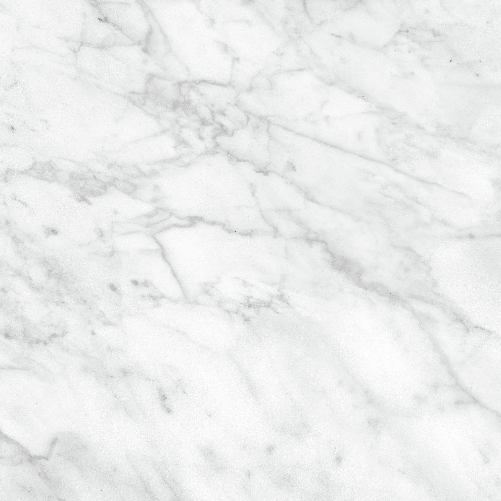 Plata 24x24 Carrara Abisso Matte | La Raj Tile & Marble