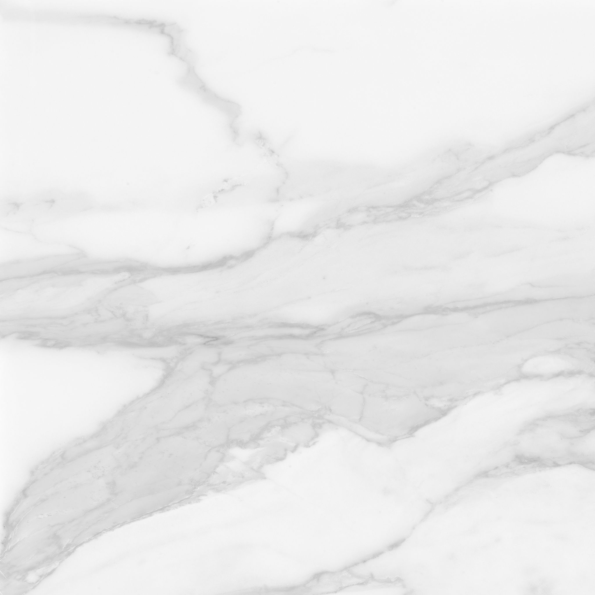 Plata 24x24 Statuario Brina Polished | La Raj Tile & Marble