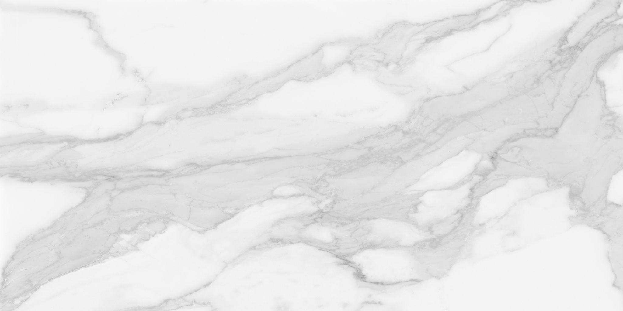Plata 24x48 Statuario Brina Matte | La Raj Tile & Marble