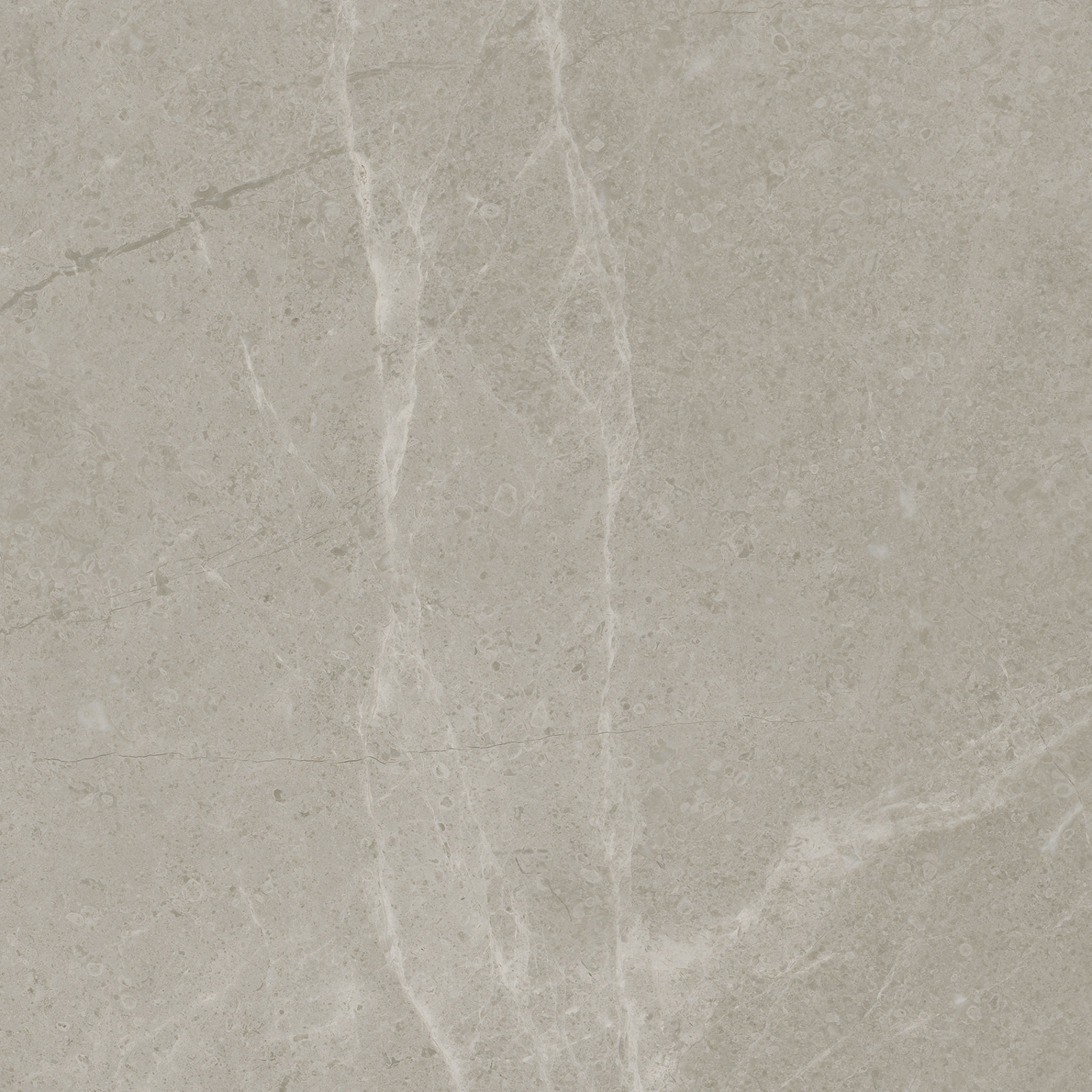 Torino 13x13 Vanizio | La Raj Tile & Marble