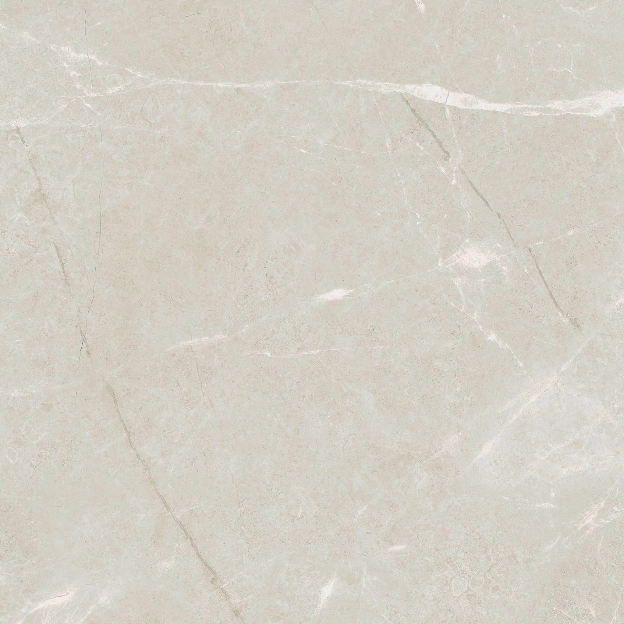 Torino 20x20 Avorio | La Raj Tile & Marble